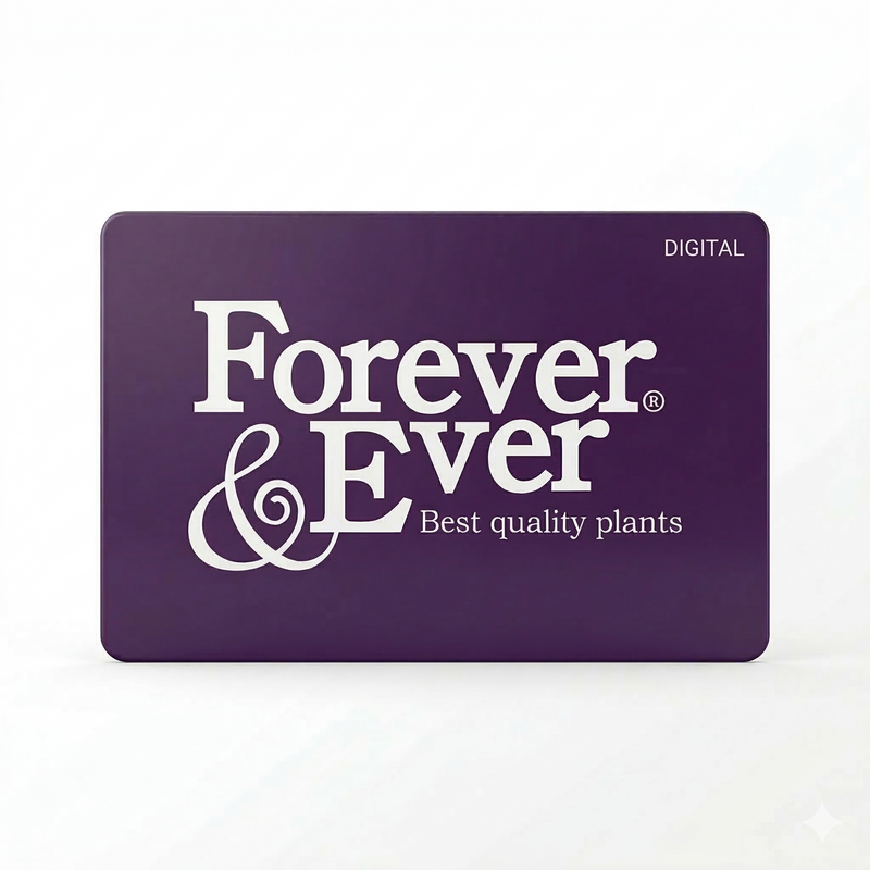Forever&Ever® gift voucher