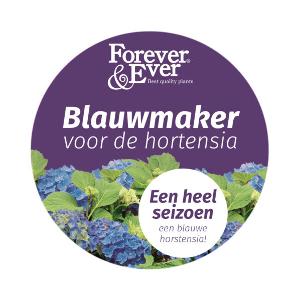 Hydrangea Blue Maker