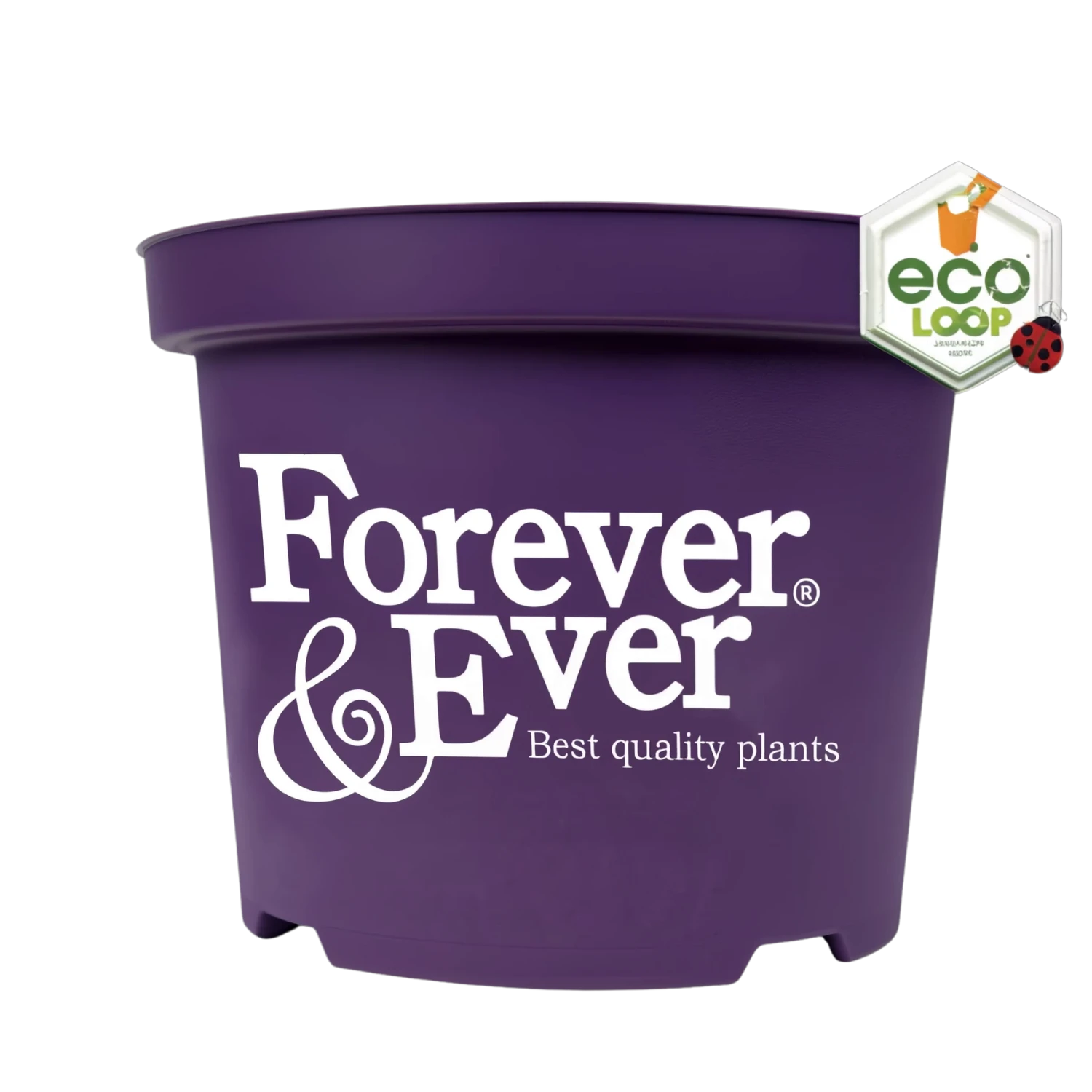 The recognisable purple pot